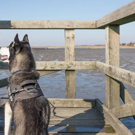 Daire Nordseeliebe Husum (Schleswig-Holstein)